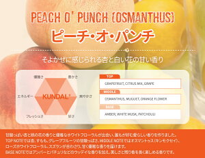 11/18I|Cg10{zyKUNDAL{znj[}Jf~A wAPA 2 XyVZbg ZbgilC`[Vv[500mlveCg[gg500mlj