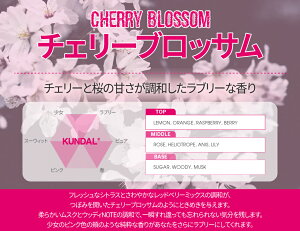 10N[|+11/25yP20{zIubNtCf[zyKUNDAL{znj[}Jf~A sA CX`[ {fB[V 500ml@N_