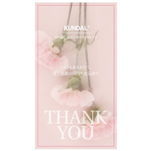 zyKUNDAL{zMtg  bZ[W J[h@N_@v[gp