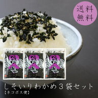 【送料無料】 しそいりわかめ80g×3袋セット 山口県 国近 人気ソフトふりかけ お試しセット しそわかめ …