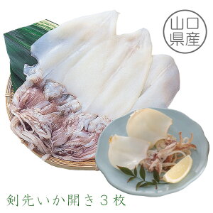 yRYz 悢J3i̖13`15cmOj    g PTLCJ AJCJ   Ђ H ̍  ܂