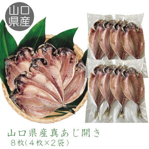 yRYz ^J8i4×2܁jm119cmOn    g }AW  J  Ђ H ̍  ܂