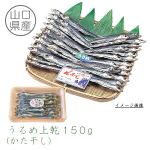 yRYz ߏ㊣ij150gm12`13cmOE27O/͖ڈłn    g  ECV 킵 ۊ ㊣   Ђ H ̍ 