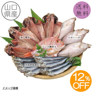 yz yԌ12%OFF 4,320~3,800~z RYZbgmYA-9n RY J ꂢꎬ AqJ ߊۊ     g Ђ  l Mtg 