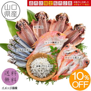 yz yXz yԌ10%OFF 5,400~4,860~z ClmK-ASn RY J AqJ g߂ ߊۊ ̂ǂJ     