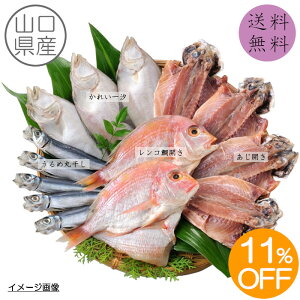 yz yԌ11%OFF 4,860~4,320~z R}ցmYA-11n RY J ꂢꎬ AqJ ߊۊ     g Ђ  l Mtg j H