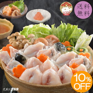 yz yԌ10%OFF 5,400~4,860~z ӂliƂӂhtj[B-11Zn VTotO ؐg ƂӂA YVRVTotO Y{BgtO h ӂX