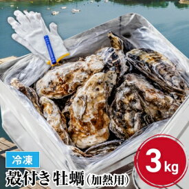 《冷凍》牡蠣の缶焼きセット3kg（瀬戸内海産） クニヒロ お取り寄せ カキフライ かき飯 BBQ 牡蠣鍋 かき鍋 アヒージョ