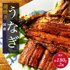 限定特価8,000円⇒6,980円お吸物4袋付き！ 特大うなぎ 鹿児島県産 180g 2尾セット 送料無料 うなぎ ウナギ 鰻 国産 鹿児島県産 蒲焼き ギフト 化粧箱 母の日 父の日 うなぎ蒲焼き 源内亭 秘伝のタレ 真空パック 冷凍 贈り物 魚介類 お祝い お取り寄せ 贈答 牡蠣 クニヒロ