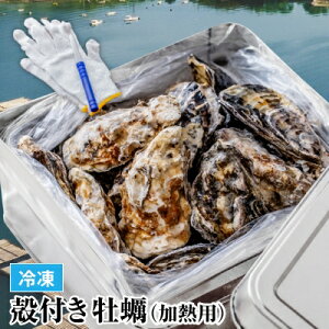 _ Hڂ JÒI^ _n67N y X ^Njq ́sⓀt˓CY y ʏĂZbg MTCY 1.3kg or 2kg (1.3kg 15OA2kg25Oj JJĂ BBQ