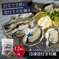 ＼ポイント10倍 7/19 20時～7/27 9時59分まで／＼創業68年 牡蠣一筋／ 《 冷凍 》瀬戸内海産 生食用 殻付…