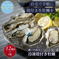 ＼創業68年 牡蠣一筋／ 《 冷凍 》瀬戸内海産 生食用 殻付き牡蠣 (12個入り) 牡蠣 生食 殻付き クニヒロ …
