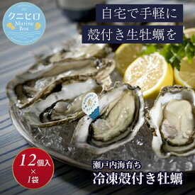 ＼創業68年 牡蠣一筋／ 《 冷凍 》瀬戸内海産 生食用 殻付き牡蠣 (12個入り) 牡蠣 生食 殻付き クニヒロ 牡蠣 海鮮 BBQ お取り寄せ グルメ ギフト 送料無料 生食用 かき 牡蠣 国産 室津 カキ 広島 瀬戸内海