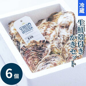 _n67N y؁^ y①zHp ktyZbg 3Yn Hהׁi6 / 10j yX {̃Mtg  y  JLtC