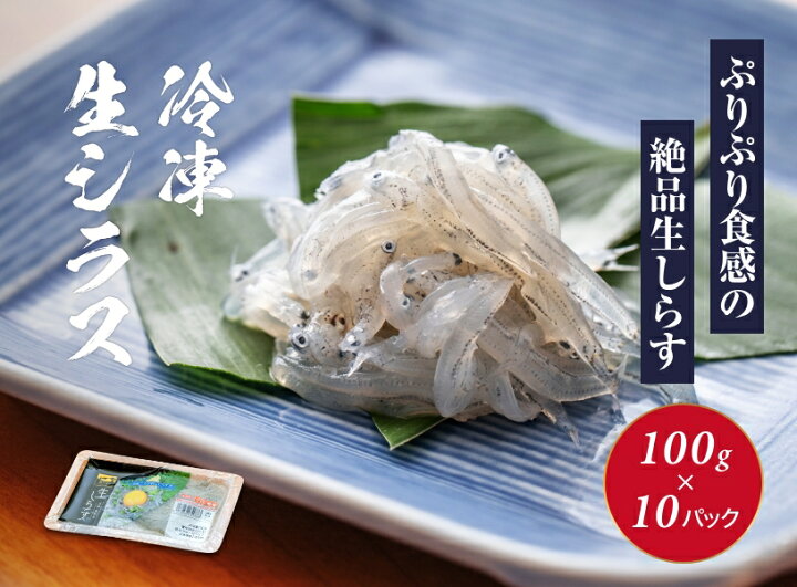 メーカー直売 冷凍生シラス 瀬戸内海産 newschoolhistories.org メーカー直売 冷凍生シラス 瀬戸内海産 newschoolhistories.org