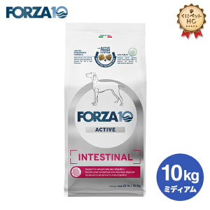 p ݒPA tHc@10/Forza10 CeXeBiANeBu ~fBA 10kg