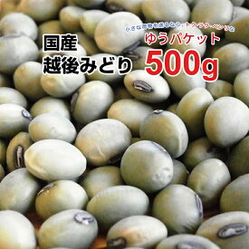 【ゆうパケット】越後みどり 500g 令和元年産 山形産 国産 大粒 豆 大豆 健康食品