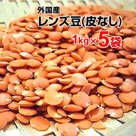 楽天市場 レンズ豆 1kg 食品 の通販