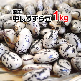 中長うずら豆 1kg 29年産 北海道産 国産 豆 カレー ビーフシチュー 煮豆 豆の煮込み