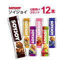 【送料無料】【メール便】ソイジョイ 大塚製薬 SOYJOY 12本セット各2本 アップル アーモンドチョコ ブルーベリー ストロベリー ピーナッツ レーズン s...