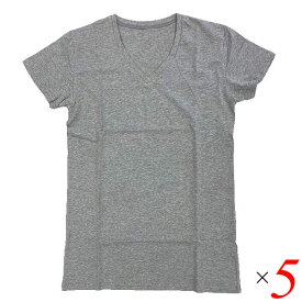 【6/1(土)限定！エントリーでポイント4倍！】DEO's コンプリート消臭インナー メンズ グレー 5枚セット 脇汗 消臭 Tシャツ 送料無料