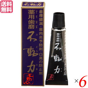 【10/30(木)限定!楽天カードでポイント8倍!】歯磨き ハミガキ 歯磨き粉 美の友 薬用自然派はみがき 不動力 35g 医薬部外品 6個セット 送料無料