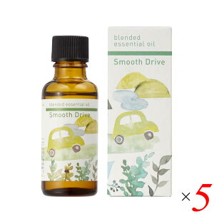 y11/1(y)I|Cgő8{Iz̖ uhGbZVIC X[YhCu 30ml 5{Zbg A}IC C Co܂