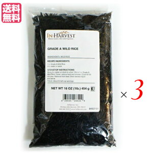 y12/5()IyVJ[hŃ|Cg9{IzG }R^P }R_P Cn[xXg ChCX 454g 3܃Zbg