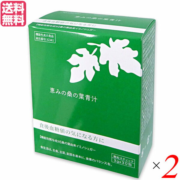 青汁 桑の葉 イミノシュガー 恵みの桑の葉青汁 3g 30包 機能性表示食品 2個セット 送料無料