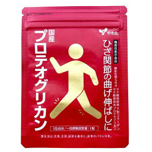 킽 YveIOJ @\\Hi 15i񔼌j II^R[Q Tv Tvg G ֐ 