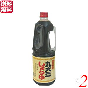 ݖ Y PH ۑ哤ݖiY100j1.8L 2{Zbg 