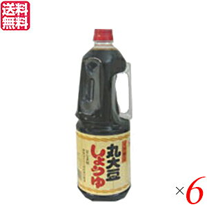 ݖ Y PH ۑ哤ݖiY100j1.8L 6{Zbg 