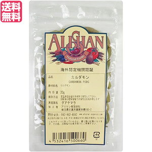 y300|CgRIzJ_ z[ XpCX AT J_ 20g QAIF 