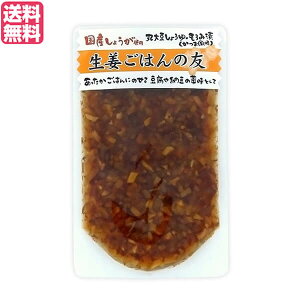 【マラソン限定!100円クーポン!学割2倍!】生姜 ご飯のお供 かつお節 マルアイ食品 生姜ごはんの友 100g 送料無料