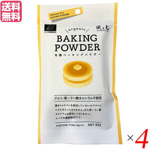 y}\I|Cg2{I100~N[|Izx[LOpE_[ 40g(10g×4) 4Zbg ƌ R[X^[` 