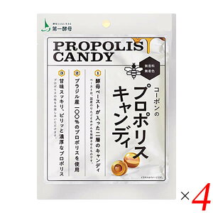 y12/10()IyVJ[hŃ|Cg9{Iz݂͂ v|X  R[{̃v|XLfB 28g 4Zbg 