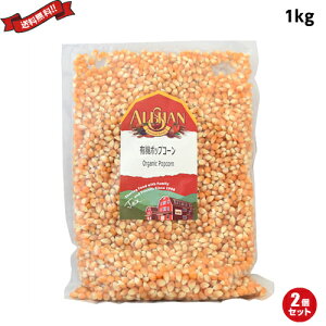 |bvR[   AT L@|bvR[ 1kg 2܃Zbg