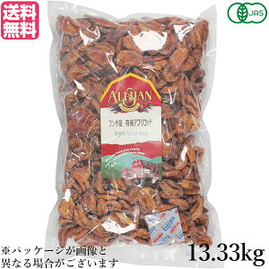y9/25()IyVJ[hpŃ|Cg8{IzAvRbg  hCt[c AT tUY L@AvRbg 13.33kg 