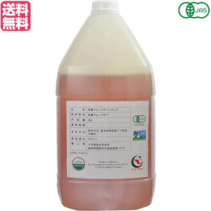 y11/15(y)IyVJ[hŃ|Cgő12{IzAKxVbv L@ Ö O@f L@AKxVbv 5.6kg