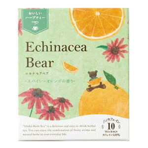 n[ueB[ eB[obO GLiZA ̖ n[ueB[ GLiZAxA 10TBieB[obOj 