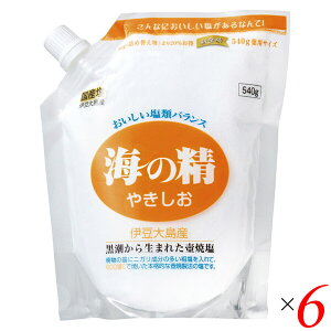 yX[p[SALEI100~N[|Iw2{Iz VR V C̐ ₫iX^hpbNj540g 6Zbg 