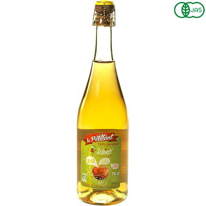 y300|CgRIzWGbg I[KjbN Xp[NO AbvW[X 750ml 񂲃W[X Y_ Xg[g