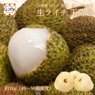 ＼当選確率1/2！抽選で最大100％ポイントバック 本日 23:59 まで／期間限定 予約販売＼ 無くなり次第 受…