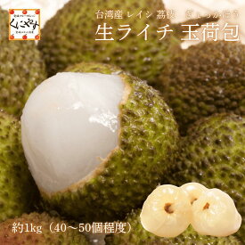 期間限定 予約販売＼ 無くなり次第 受付終了！／【送料無料】【クール便】 生 ライチ 玉荷包 （ ぎょっかほう ） 台湾産 ライチ 茘枝 レイシ 約1kg～（40〜50個程度）「生ライチ」 グリーンライチ