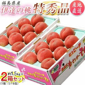 ＼事前エントリー開始！最大100％ポイントバック 20日 0:00～／ お中元 7/27～8/2 発送★たっぷり 3kg ★【 送料無料】【ギフト】【産地直送】福島産 伊達の 桃 ミスピーチ 特秀品 約3kg 10〜18玉入り (約1.5kg×2箱)「伊達の桃3kg」 福島 JAふくしま未来 もも
