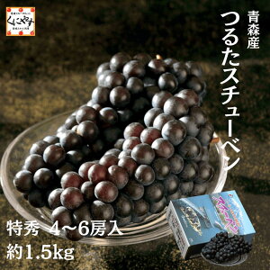 VIڂ肾悤Ƀ`bƎ킲ƈݍރuhE10/6 oׁyzXY 邽 X`[x Gi4`6[j 1.5kg 퉷uX`[xv Ԃǂ 