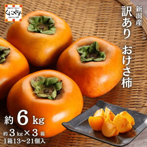 _|Cgő49{I}\ 4 20:00`^|tFm[͐ԃC10{yzVn 󂠂 ` 6kg(3kg×2) u󂠂 `v햳 Ȃ j