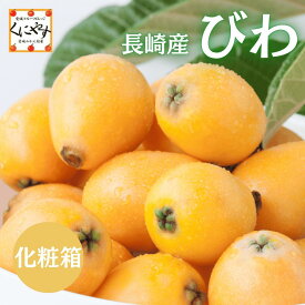 ＼ポイント最大49倍！お買い物マラソン 開催中／5～10営業日以内発送★上品な甘みとジューシーな果肉★【送料無料】【ギフト】長崎県産 枇杷 びわ L〜2L 約500g(9〜12玉)〜1kg(500g×2箱) 化粧箱 風袋込 ※冷蔵「長崎びわ」