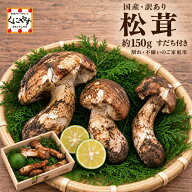 ＼ 期間限定！10/15 まで！／★ 国産 松茸 まつたけ 秋の味覚の王様 ★【送料無料】岩手・長野県産 訳あ…