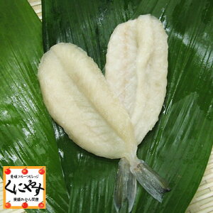 yNZbgpizyPiwszyNxQCASⓀizyVRzFaClN̈銱utO1vi/FaC/lߍ킹/Zbg//O